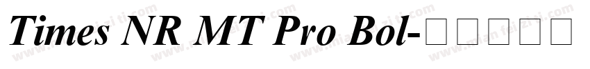 Times NR MT Pro Bol字体转换